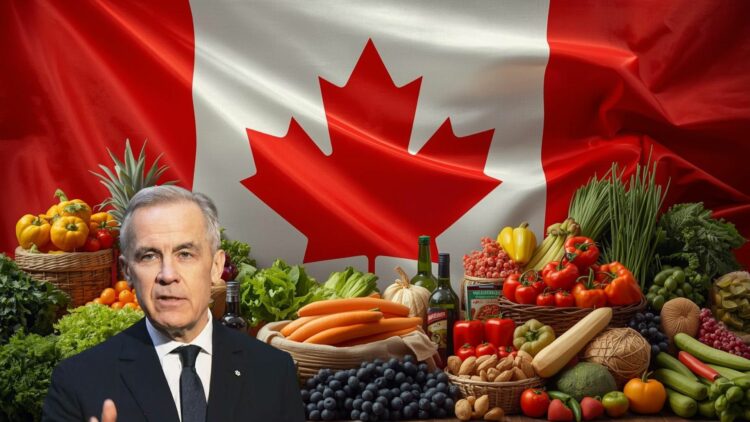 Mark Carney Government Passes the Groceries and Essentials Benefit in Feb 2026
